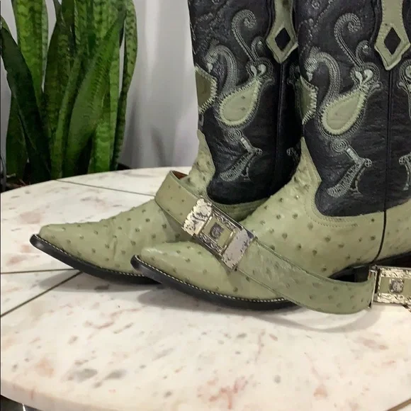 Ostrich cowboy boots and belt